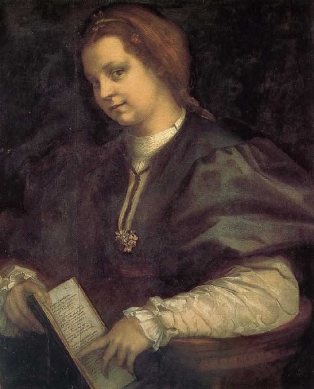 Andrea del Sarto Take the book portrait of woman Sweden oil painting art